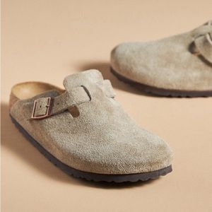 Birkenstock Boston Clog Taupe Suede 37